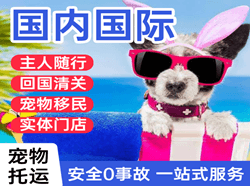 芒市机场邮寄国际宠物托运 【国